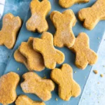 Healthy Pumpkin Dog Treats – Spooky Halloween Biscuits for Dogs 9 healthy pumpkin dog treats card