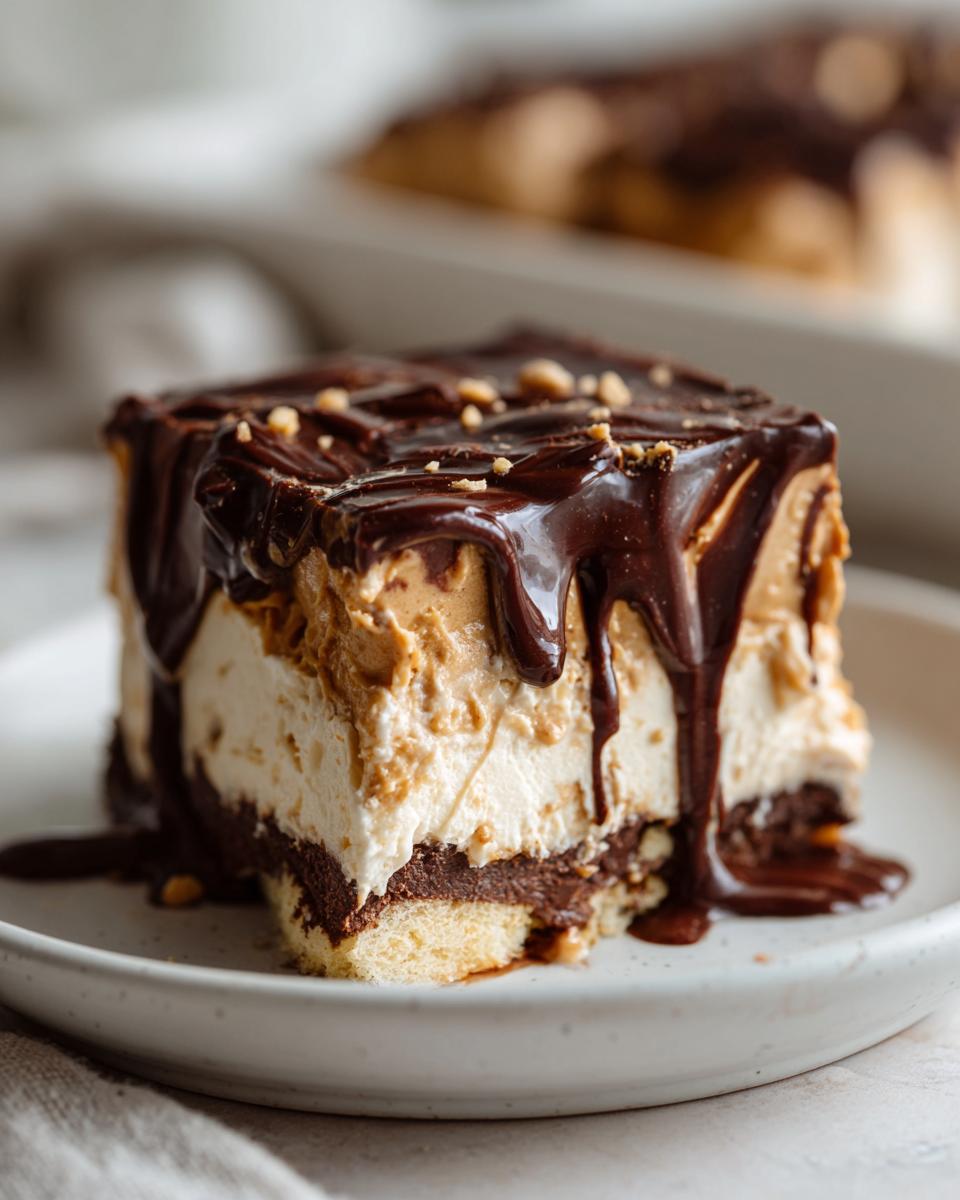 Irresistible Chocolate Peanut Butter Layer Dessert Recipe 7 Chocolate Peanut Butter Layer Dessert - detail 1